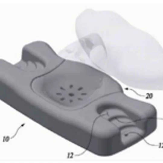 특허 10-2021-0060493